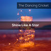 Trip - The Dancing Cricket