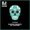DJ Culture - Hannes Bruniic
