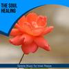 Ability To Heal (Original Mix) - Amba Ghosh