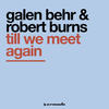 Till We Meet Again (Galen Behr Remix) - Galen Behr&Robert Burns