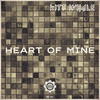Midbrain (Original Mix) - Kitt Whale