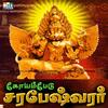 Jai Cholini - Srinivasan
