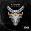 Warrior(feat. MadMax) (Explicit) - Drip&MadMax