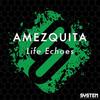 Life Echoes - Amezquita