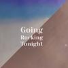 Going Rocking Tonight - Rex Qual