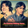 Pa Khowey Malang Yama - Sabir Shah&Chahat Papu