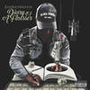 Diary of a Finesser (Explicit) - JUMPSHOTSHOOTER&Dub Dollar&Coppo