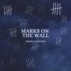 Marks On The Wall - Joshua Turchin