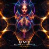 DMT (Akasha|BR|Remix) - Becker&Labirinto&Akasha (BR)