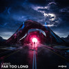 Far Too Long - Laeko