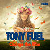 Change The Vibe (Instrumental Mix) - Tony Fuel