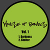 Shelter (Radio Edit) - Tommy Bones