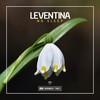 No Sleep (Original Club Mix) - Leventina