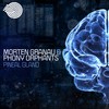 Pineal Gland - Phony Orphants&Morten Granau