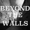 Beyond the Walls(Attack on Titan) - Divide Music