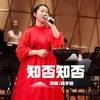 知否知否 (女声版) - 陈宇涵&法伊娜声乐协奏团