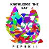 Knowledge the Cat - Pepskii