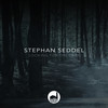 Looking for the Dark - Stephan Seddel