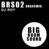 Orgasmic (DJ Roy Club Mix) - DJ Roy