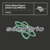 Testify (Urban Blues Project present Jay Williams) (Phunk Phorce Gets Blunted Bonus Groove) - Urban Blues Project&Jay Williams