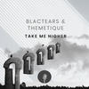 Take Me Higher (Themetique Remix) - Blac Tears&Themetique