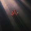 雾 - DT&NG_Seven