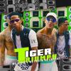 Tiger Triumph (Explicit) - MC Paulin da Capital&Love Funk&Mc Lemos