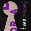 Bad Dream (Original Mix) - Rob Adans&Emma Carn