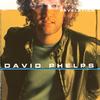 Satisfaction - David Phelps