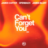 Can’t Forget You (feat. James Blunt) - James Carter&Ofenbach&James Blunt