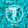 Candys (Original Mix) - ZviDy