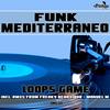 Loops Game (Freaky Behaviour Disco Mix) - Funk Mediterraneo