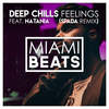 Feelings (Spada Remix) - Deep Chills&Natania