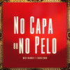No Capa ou No Pelo (Explicit) - Mcs Nando and Luanzinho&Dj Jb Mix