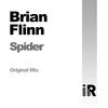 Spider (Original Mix) - Brian Flinn