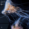 Scuba (Devin Jay Remix) - Noise Generation&Devin Jay