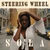 Steering Wheel - sola