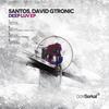 Deep Luv - Santos&David Gtronic