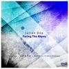 Facing the Abyss - Julian Dep