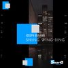 Spring Wing-Ding (Original Mix) - Joseph Braawn