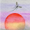 Aedes - Baster Beats