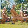 Hokie Pokie (Explicit) - John Duff