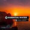 Essential Water (Original Mix) - Forest Therapy