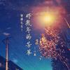 那几年的芳华 - 代鑫&蜜糖先生