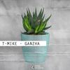 Ganzha (Original Mix) - T-Mike