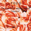 Should  Have Been Lovers Tonight    Card401200048 - Todd