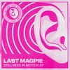Es (Grainger & Fall Forward Remix) - Last Magpie&Grainger&Fall Forward