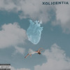 Licent. Money and Fame - XOLicentia&Niklas Dee