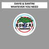 Whatever You Need (Original Mix) - Davis&Santini&Davis & Santini