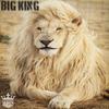 Big king - kingmusic احمد شاه